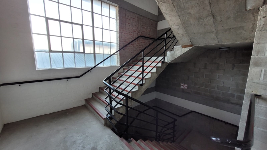 To Let commercial Property for Rent in Diep River Western Cape